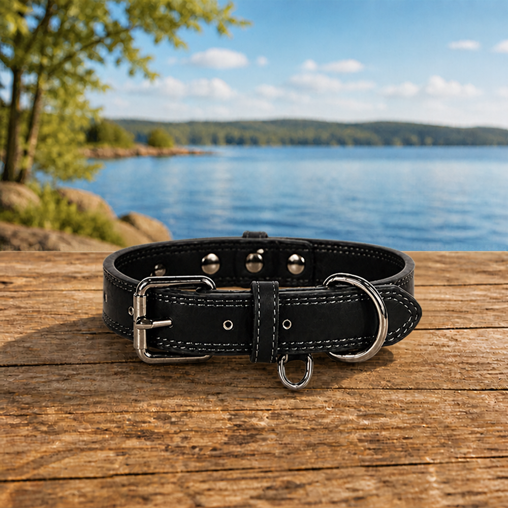 Collier en cuir pour chien Hypoallergénique noir