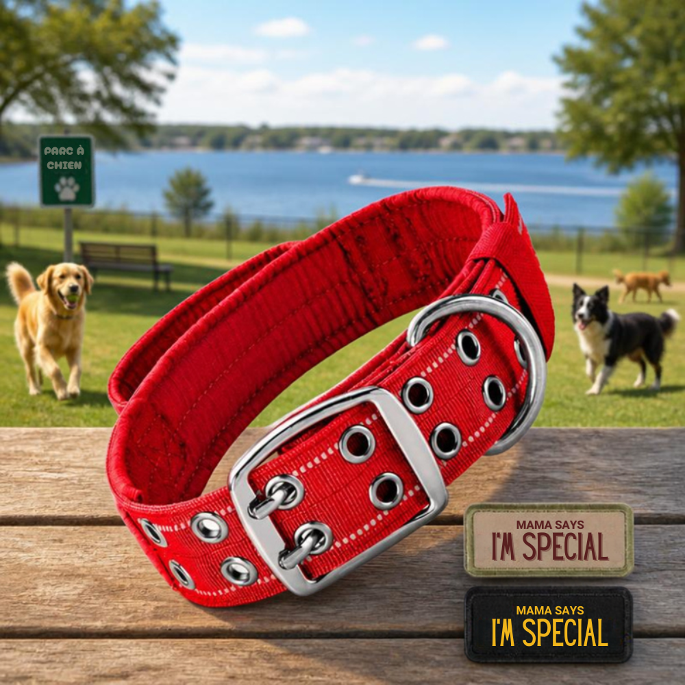 Collier pour chien Tactique Réfléchissant rouge