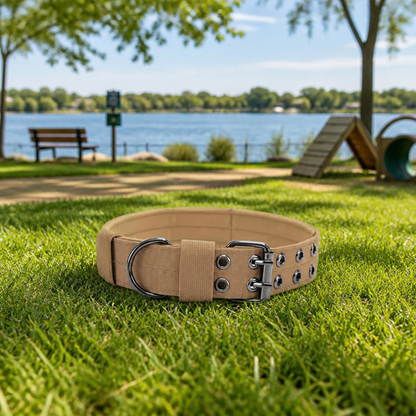 Collier Chien Confort Plus Kaki