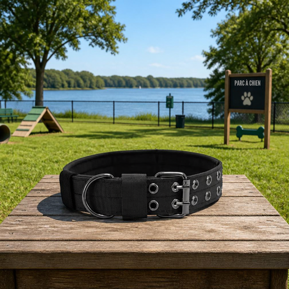 Collier Chien Confort Plus Noir