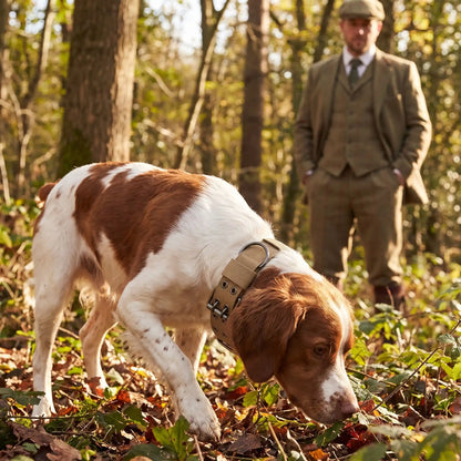 Collier Chien Confort Plus épagneul breton