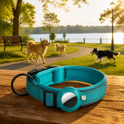 Collier Chien GPS Connecté bleu