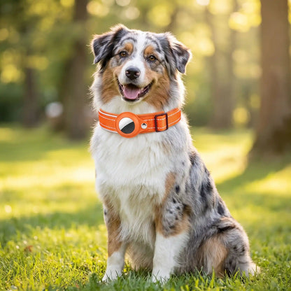 Collier GPS pour Chien Sérénity orange Berger Australien