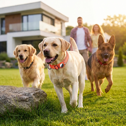 Collier GPS pour Chien Sérénity trois chiens