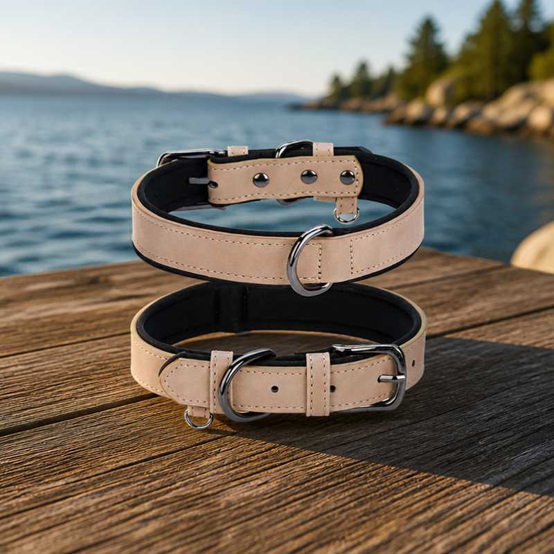 Collier chien cuir Rembourré Résistant Kaki