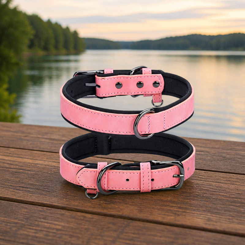 Collier chien cuir Rembourré Résistant Rose
