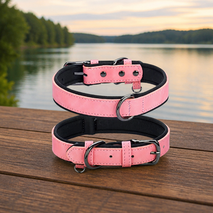 Collier chien cuir Rembourré Résistant Rose