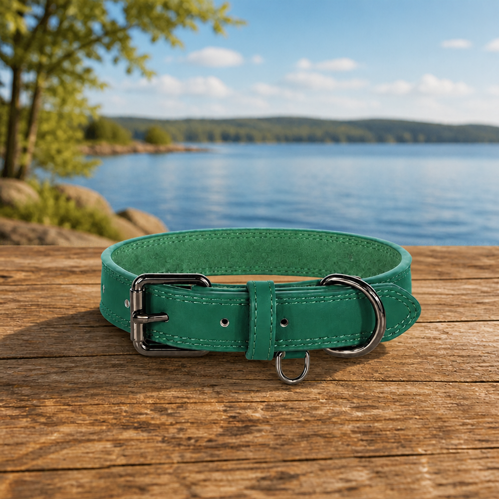 Collier en cuir pour chien Hypoallergénique vert