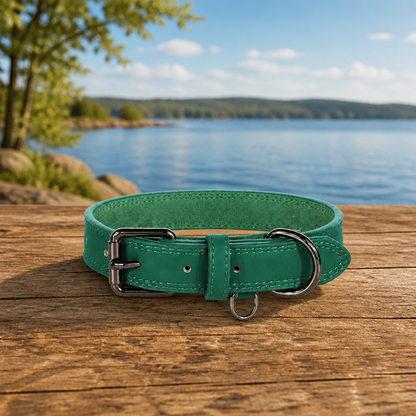 Collier en cuir pour chien Hypoallergénique vert