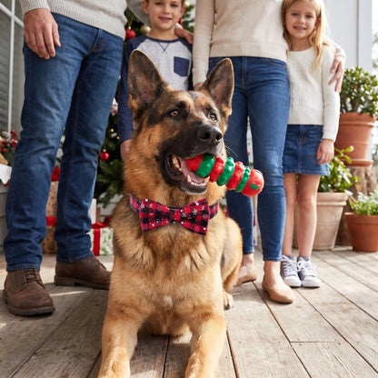 Collier pour chien Festif rouge Berger Allemand Famille Cadeau