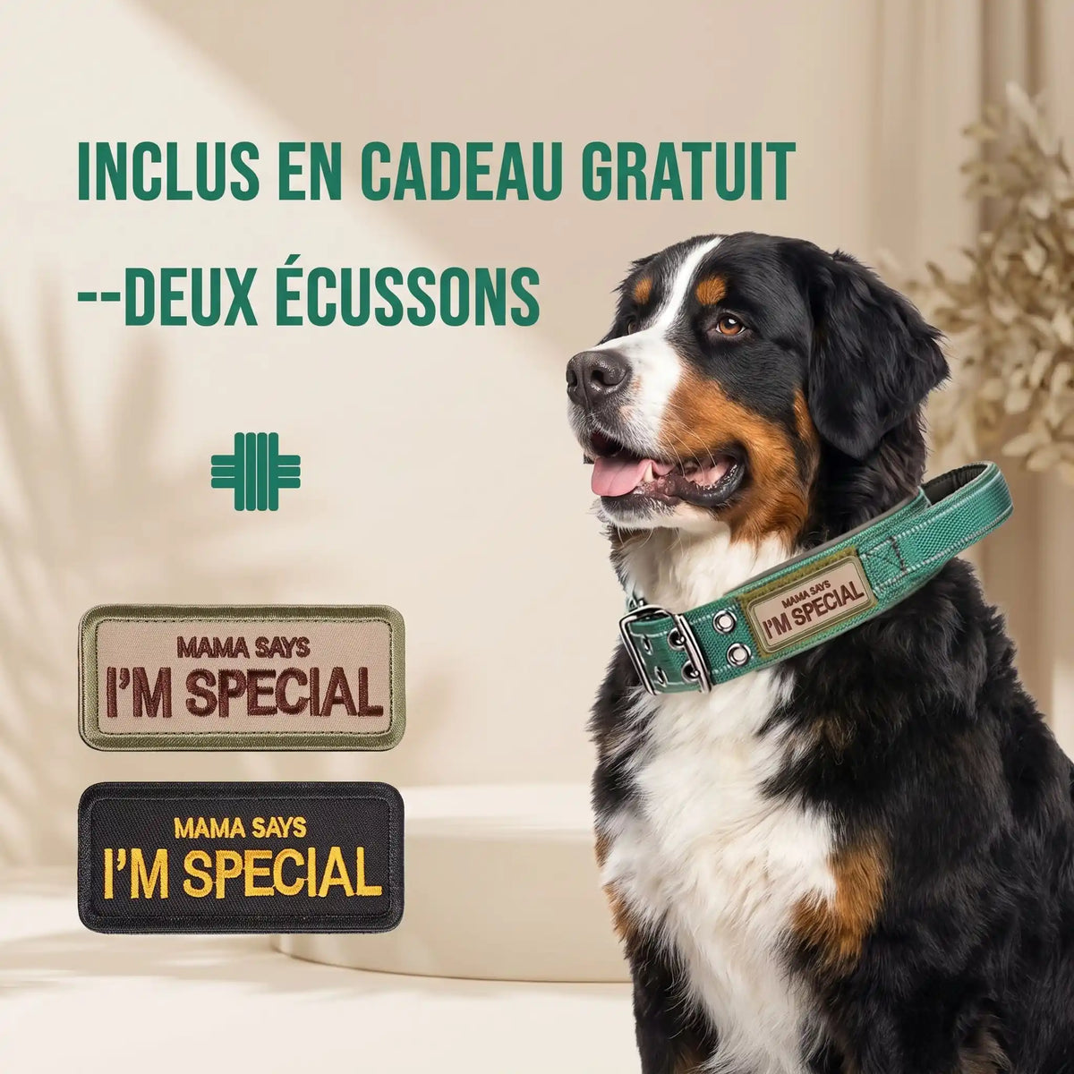 Collier pour chien Tactique Réfléchissant cadeau