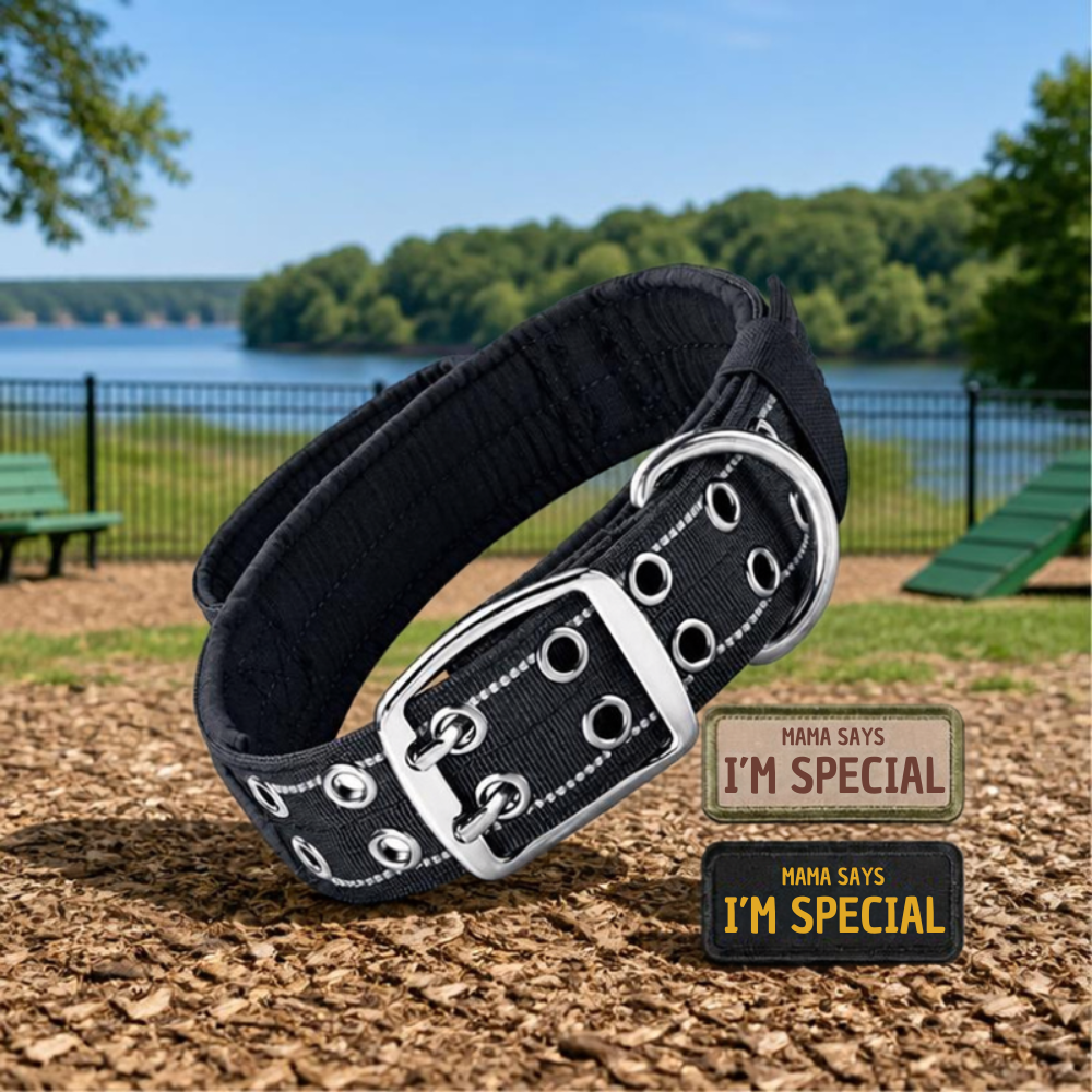 Collier pour chien Tactique Réfléchissant noir