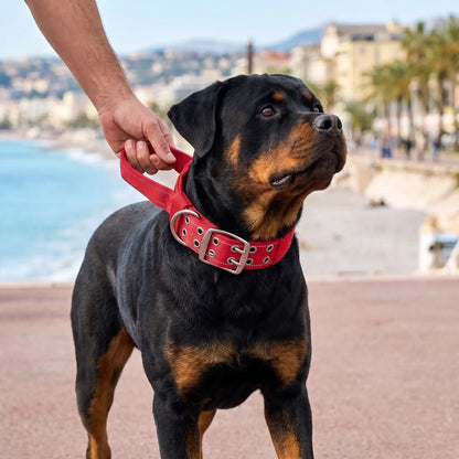 Collier pour chien Tactique Réfléchissant rouge Rottweiler plage