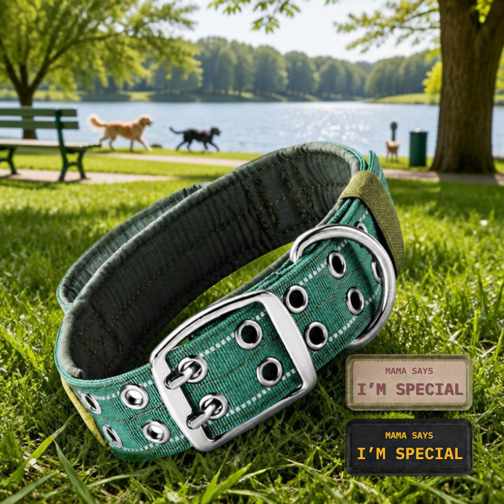 Collier pour chien Tactique Réfléchissant vert
