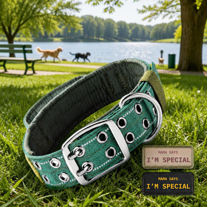 Collier pour chien Tactique Réfléchissant vert