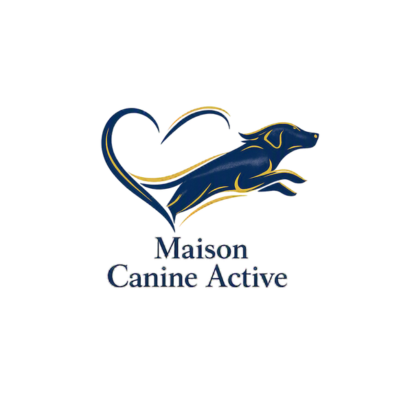 Maison Canine Active