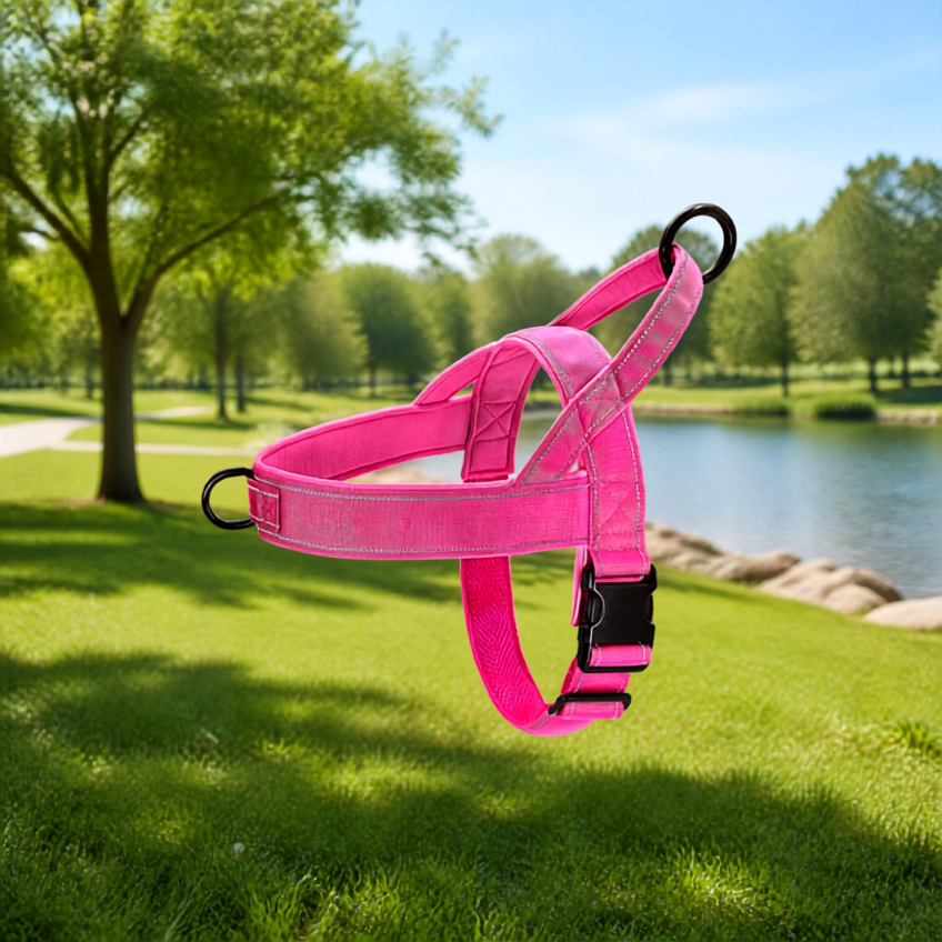 Rose Parc a chien Paysage