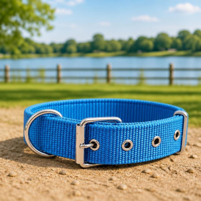 collier pour chien breakaway sécurisé  bleu