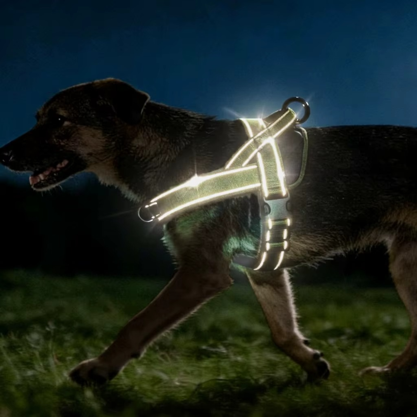 harnais chien anti traction tactique réfléchissant
